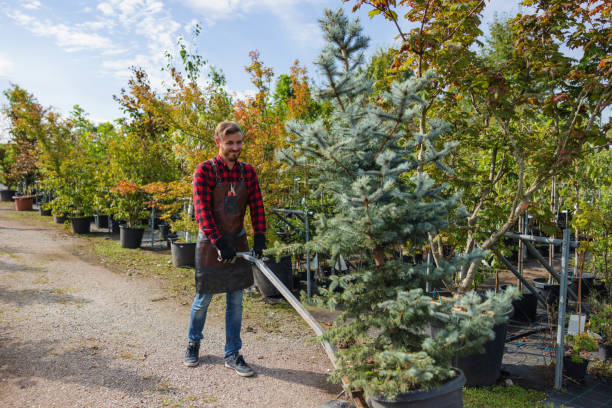 Leaf Removal in East Quogue, NY